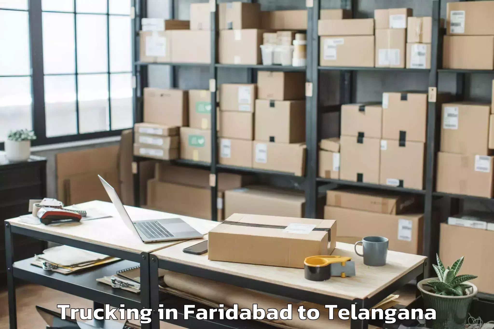 Book Faridabad to Nereducharla Trucking